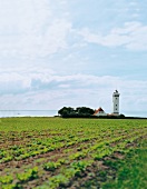 Dänemark, Fünen, Landschaft, Feld Turm, Gebäude