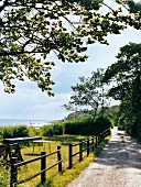 Dänemark, Fünen, Küste, Weg, Wanderweg, Landschaft, Meer