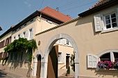 Bergdolt-St Lamprecht Bergdolt St. Lamprecht Weingut mit Weinverkauf in Neustadt Rheinland-Pfalz