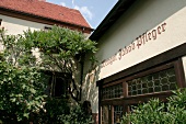 Jakob Pfleger Weingut mit Weinverkauf in Herxheim Rheinland-Pfalz Rheinland Pfalz