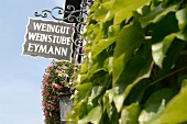 Eymann Weingut mit Weinstube Weinverkauf in Gönnheim Rheinland-Pfalz