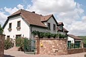 Karl-Heinz Gaul Karl Heinz Gaul Weingut mit Weinverkauf in Grünstadt Gruenstadt