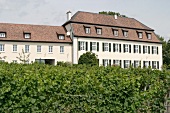 Schumacher Weingut mit Weinverkauf in Herxheim Rheinland-Pfalz Rheinland Pfalz