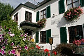 Hans Lang Weingut mit Weinverkauf in Eltville Hessen Deutschland