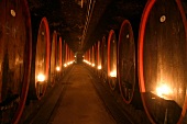 Schloss Reinhartshausen Weingut mit Weinverkauf-Hotel Gutsschänke Gutsschaenke in Eltville