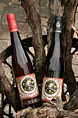 Langwerth von Simmern Weingut mit Weinverkauf in Eltville Hessen Deutschland