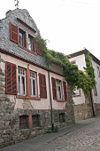 Schloss Schönborn Schloss Schönborn Weingut mit Weinverkauf in Eltville Hessen