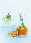 Vegetable and herb drink made of carrot and sauerkraut with crackers
