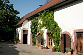 Landgrafenhof Keller Weingut mit Weinverkauf in Worms Rheinland-Pfalz Rheinland Pfalz
