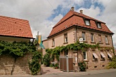 Steitz Weingut mit Weinverkauf Gästezimmer Gaestezimmer in Stein-Bockenheim