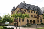 Schloss Vollrads Weingut mit Weinverkauf Restaurant Vinothek Weinausschank in Oestrich-Winkel