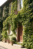 Arndt Werner Ökoweingut Weingut mit Weinverkauf in Ingelheim Rheinland-Pfalz