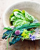 Various type of lettuce leaves and herb flowers in a bowl