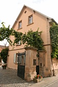 Gysler Weingut mit Weinverkauf in Alzey Rheinland-Pfalz Rheinland Pfalz