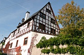 Alfred Cuy Weingut mit Weinverkauf Ferienwohnung in Zell Rheinland-Pfalz