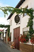 Klaus Hofmann Weingut mit Weinverkauf in Appenheim Rheinland-Pfalz Rheinland Pfalz