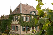 Brüder Dr Becker Brueder Dr. Becker Weingut mit Weinverkauf Gästezimmer