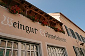 Bürgermeister Schweinhardt Buergermeister Schweinhardt Weingut mit Weinverkauf Ferienwohnung in Langenlonsheim