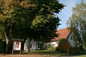 Lindenhof - Reimann Lindenhof-Reimann Lindenhof Reimann Weingut mit Weinverkauf in Windesheim