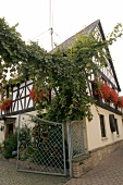 Mathern Weingut mit Weinverkauf in Niederhausen Rheinland-Pfalz Rheinland Pfalz