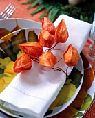 Close-up of napkin wrapped with dried Chinese lantern flowers on plate