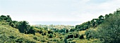 Ligurien, grüne Hügel oberhalb des Küstenortes Bordighera, Panorama