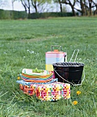 Grill, lunchbox, dishes and suitcase on meadow at picnic