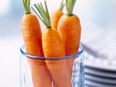 Close-up of carrots in glass