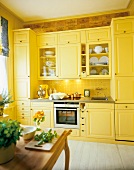 Küche komplett in gelb gehalten 