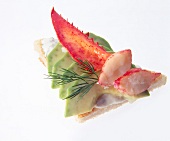 Appetizer of avocado and lobster toast with dill on white background
