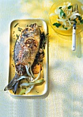 Dorade mit Fenchel 