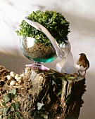 Buchsbaum in runder bauchiger Vase mit Schleife auf Stück Holz, Ostern