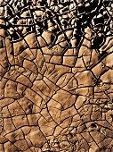 Relief - Struktur ausgetrockneter Erde, Symbol Dürre, Trockenheit