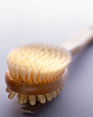 Close-up of massage brush on white background