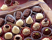 Variety of fine truffle chocolates with cream and nuts