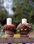 White candles in flower pots with dry rose flowers and hydrangeas on wood