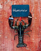 Lobster tied below wooden sign 'Hummer'