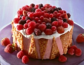 Close-up of parfait raspberry cake with assorted berries