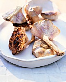 Grilled garlic on white plate for barbecue
