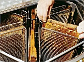 Honigwaben werden zum Schleudern in Zentrifuge eingesetzt, Honig