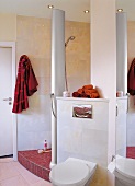 Badezimmer mit offener Dusche, WC Toilette, rote Mosaiksteine