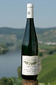 Fritz Haag Weingut in Brauneberg Rheinland-Pfalz Rheinland Pfalz