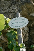 Fritz Haag Weingut in Brauneberg Rheinland-Pfalz Rheinland Pfalz