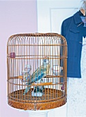 Close-up of porcelain parrot in bird cage made of bamboo