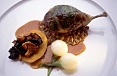 Stuffed bresse pigeon with lentils served on plate