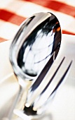 Close-up of serving spoon and fork