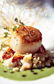 Close-up of fried scallop with vegetable ragout