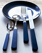 Close-up of designer stainless steel cutlery and bakelite