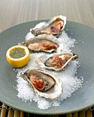 Close-up of baked oysters with sea salt on plate