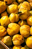 Close-up of fresh quinces